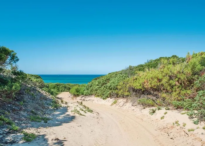 Giagumeddu 2 Daire *